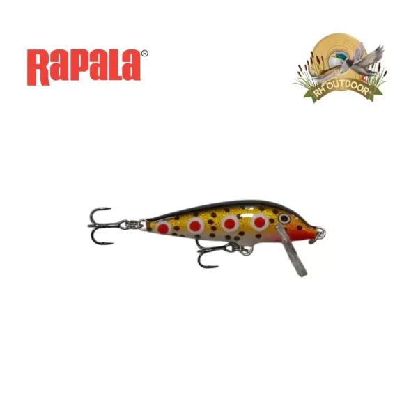 Señuelos Rapala CountDown 05 - Imagen 30