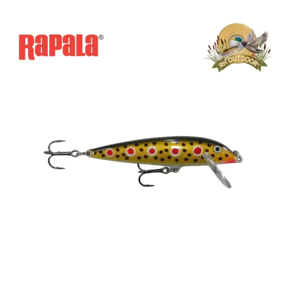 Señuelos Rapala CountDown 09 - Imagen 10