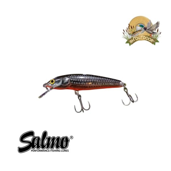 Señuelos Salmo Sinking Minnow 7 - Imagen 14