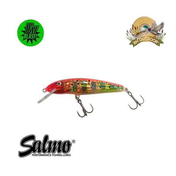 Señuelos Salmo Sinking Minnow 7 - Imagen 20