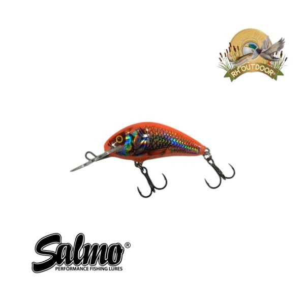 Señuelos Salmo Sinking Hornet 4 - Imagen 22