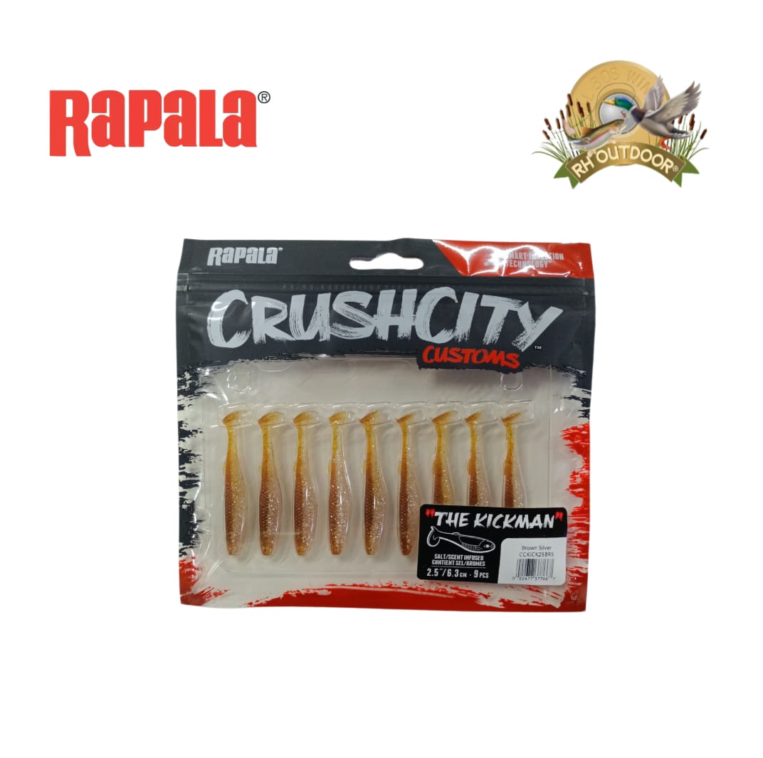 Vinilo CrushCity The Kickman Brown Silver - Imagen 2