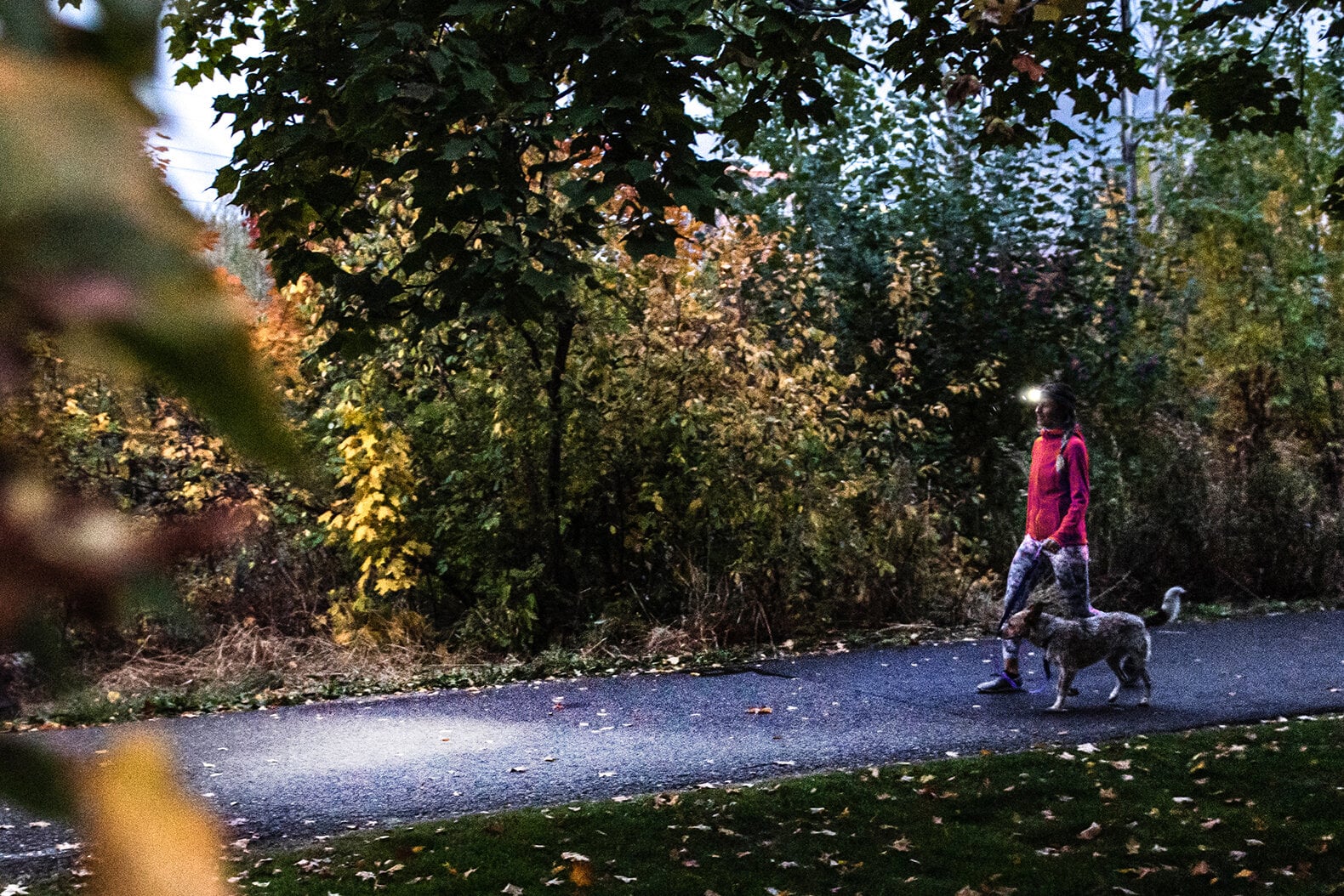 Linterna frontal Ledlenser HF4R Core - Imagen 7