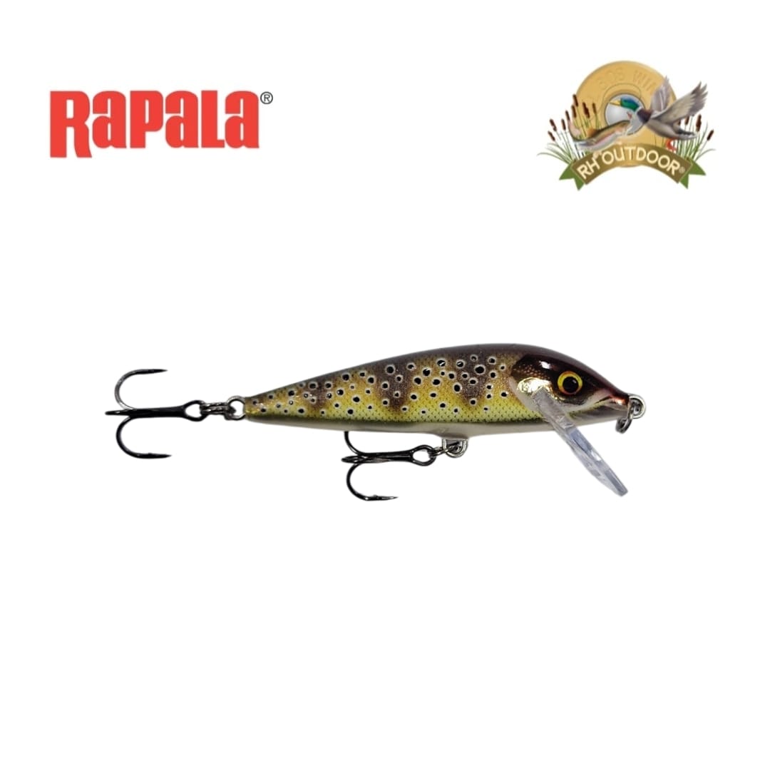 Señuelos Rapala CountDown 07 - Imagen 3